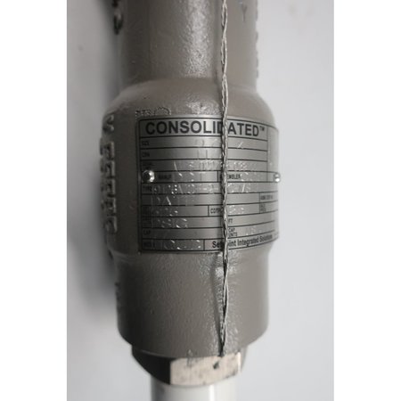 Consolidated 3/4In X 1In 77Gpm 525Psi Npt Relief Valve 19126MCF-2-CC-MS-31-MT-FT-LA
